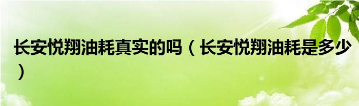 长安悦翔油耗真实的吗（长安悦翔油耗是多少）