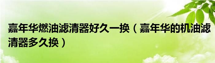 嘉年华燃油滤清器好久一换（嘉年华的机油滤清器多久换）