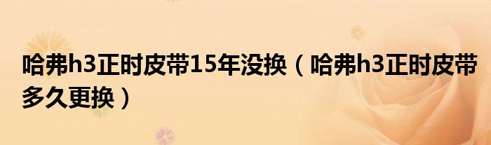 哈弗h3正时皮带15年没换（哈弗h3正时皮带多久更换）