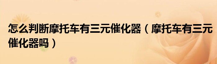 怎么判断摩托车有三元催化器（摩托车有三元催化器吗）