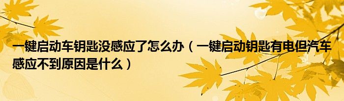 一键启动车钥匙没感应了怎么办（一键启动钥匙有电但汽车感应不到原因是什么）