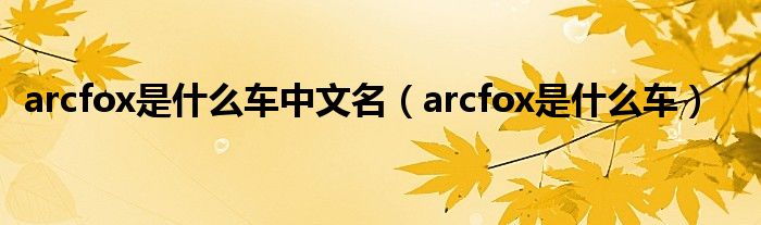 arcfox是什么车中文名（arcfox是什么车）