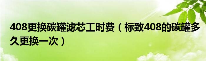 408更换碳罐滤芯工时费（标致408的碳罐多久更换一次）