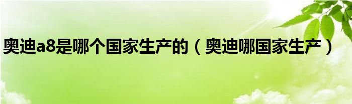 奥迪a8是哪个国家生产的（奥迪哪国家生产）