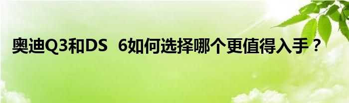 奥迪Q3和DS 6如何选择哪个更值得入手？