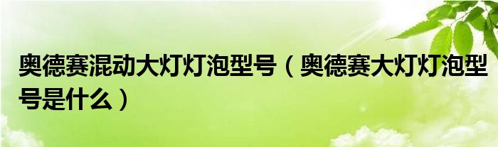 奥德赛混动大灯灯泡型号（奥德赛大灯灯泡型号是什么）