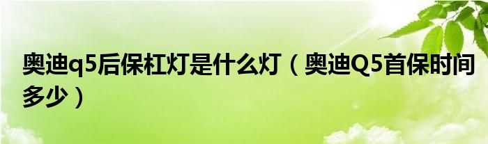 奥迪q5后保杠灯是什么灯（奥迪Q5首保时间多少）