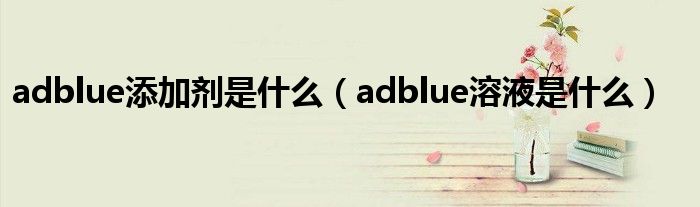 adblue添加剂是什么（adblue溶液是什么）