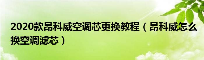 2020款昂科威空调芯更换教程（昂科威怎么换空调滤芯）