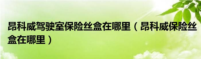 昂科威驾驶室保险丝盒在哪里（昂科威保险丝盒在哪里）