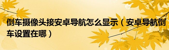 倒车摄像头接安卓导航怎么显示（安卓导航倒车设置在哪）