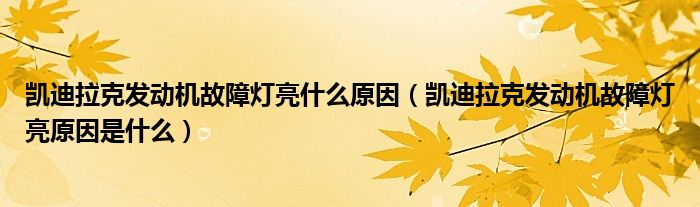 凯迪拉克发动机故障灯亮什么原因（凯迪拉克发动机故障灯亮原因是什么）