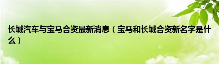 长城汽车与宝马合资最新消息（宝马和长城合资新名字是什么）