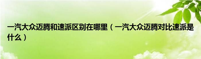 一汽大众迈腾和速派区别在哪里（一汽大众迈腾对比速派是什么）