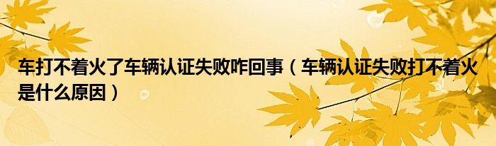 车打不着火了车辆认证失败咋回事（车辆认证失败打不着火是什么原因）