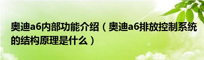 奥迪a6内部功能介绍（奥迪a6排放控制系统的结构原理是什么）