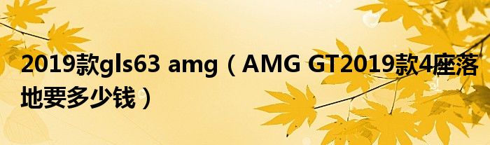 2019款gls63 amg（AMG GT2019款4座落地要多少钱）