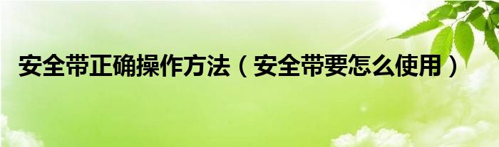 安全带正确操作方法（安全带要怎么使用）