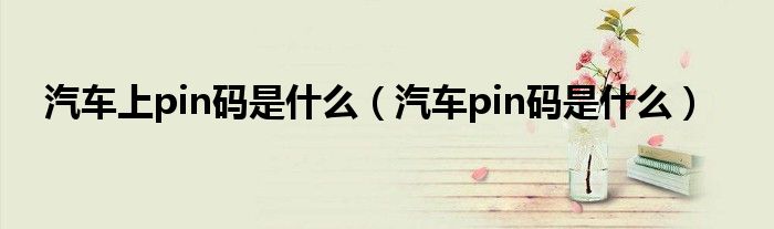 汽车上pin码是什么（汽车pin码是什么）