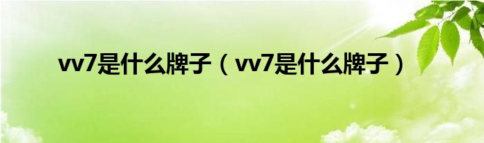 vv7是什么牌子（vv7是什么牌子）