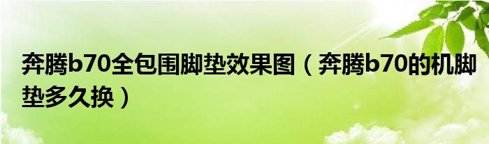 奔腾b70全包围脚垫效果图（奔腾b70的机脚垫多久换）