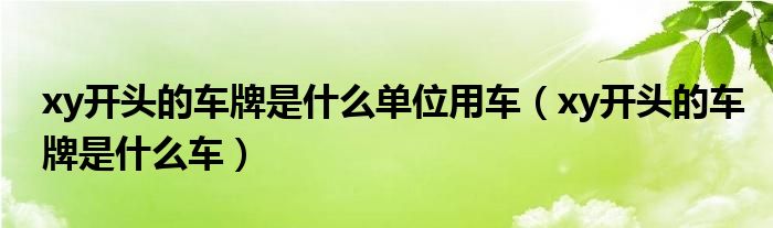 xy开头的车牌是什么单位用车（xy开头的车牌是什么车）