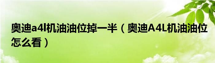 奥迪a4l机油油位掉一半（奥迪A4L机油油位怎么看）