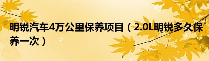 明锐汽车4万公里保养项目（2.0L明锐多久保养一次）