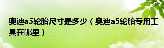 奥迪a5轮胎尺寸是多少（奥迪a5轮胎专用工具在哪里）