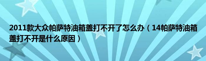 2011款大众帕萨特油箱盖打不开了怎么办（14帕萨特油箱盖打不开是什么原因）