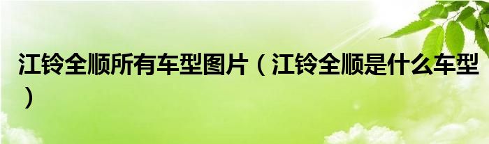 江铃全顺所有车型图片（江铃全顺是什么车型）