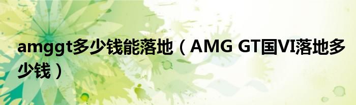 amggt多少钱能落地（AMG GT国VI落地多少钱）