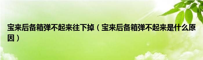 宝来后备箱弹不起来往下掉（宝来后备箱弹不起来是什么原因）