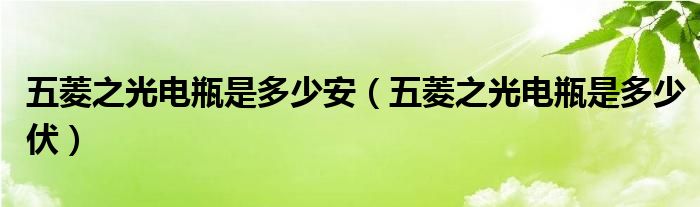 五菱之光电瓶是多少安（五菱之光电瓶是多少伏）