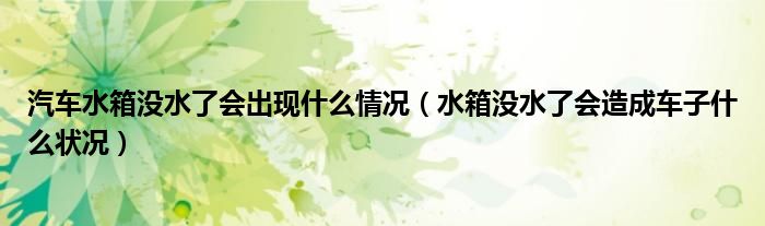 汽车水箱没水了会出现什么情况（水箱没水了会造成车子什么状况）