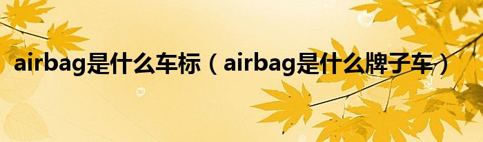 airbag是什么车标（airbag是什么牌子车）