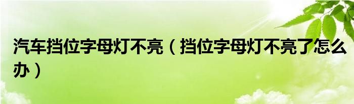 汽车挡位字母灯不亮（挡位字母灯不亮了怎么办）