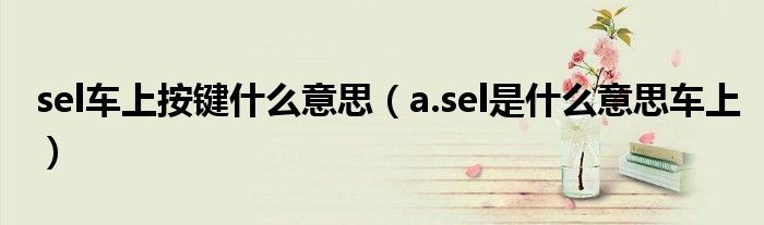 sel车上按键什么意思（a.sel是什么意思车上）