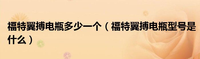 福特翼搏电瓶多少一个（福特翼搏电瓶型号是什么）