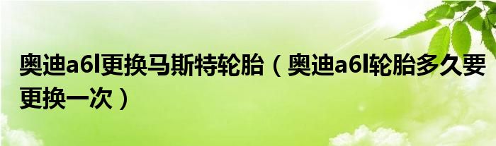 奥迪a6l更换马斯特轮胎（奥迪a6l轮胎多久要更换一次）