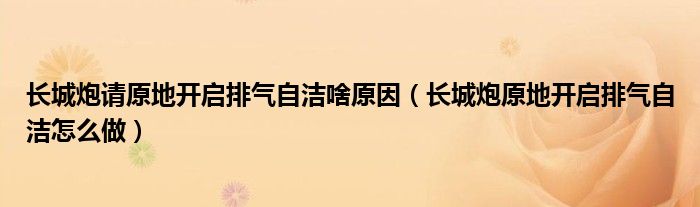 长城炮请原地开启排气自洁啥原因（长城炮原地开启排气自洁怎么做）