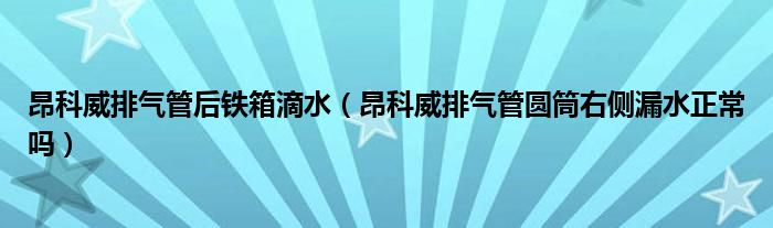 昂科威排气管后铁箱滴水（昂科威排气管圆筒右侧漏水正常吗）