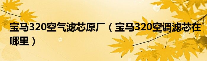 宝马320空气滤芯原厂（宝马320空调滤芯在哪里）