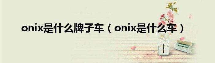 onix是什么牌子车（onix是什么车）