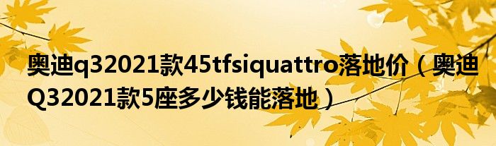 奥迪q32021款45tfsiquattro落地价（奥迪Q32021款5座多少钱能落地）