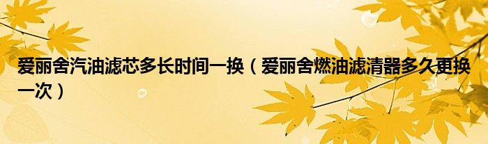 爱丽舍汽油滤芯多长时间一换（爱丽舍燃油滤清器多久更换一次）