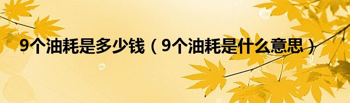 9个油耗是多少钱（9个油耗是什么意思）