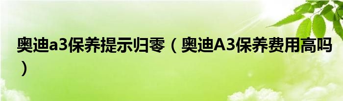 奥迪a3保养提示归零（奥迪A3保养费用高吗）