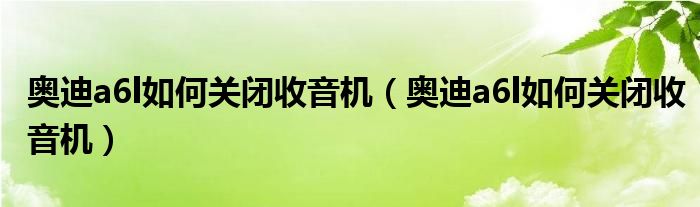 奥迪a6l如何关闭收音机（奥迪a6l如何关闭收音机）