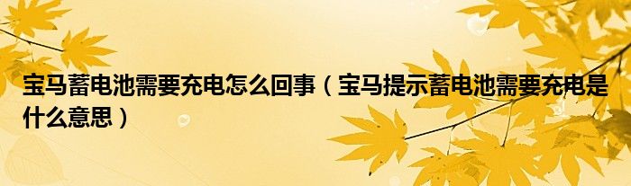 宝马蓄电池需要充电怎么回事（宝马提示蓄电池需要充电是什么意思）